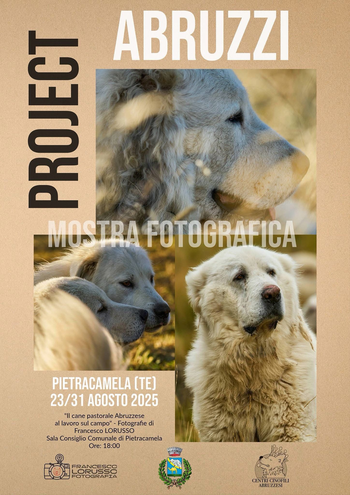 PIETRACAMELA